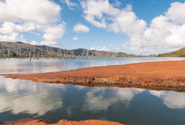 Blue River Milli Parkı Yate Gölü'nde boğulmuş orman, Yeni Kaledonya