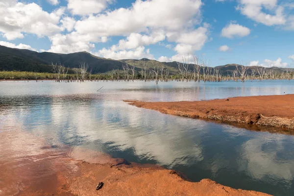 Yate Lake Utopené Lesy Národním Parku Blue River Nové Kaledonii — Stock fotografie