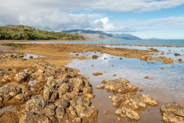 düşük gelgit Yeni Kaledonya doğu kıyısında Plum yakınlarındaki kayalık plaj