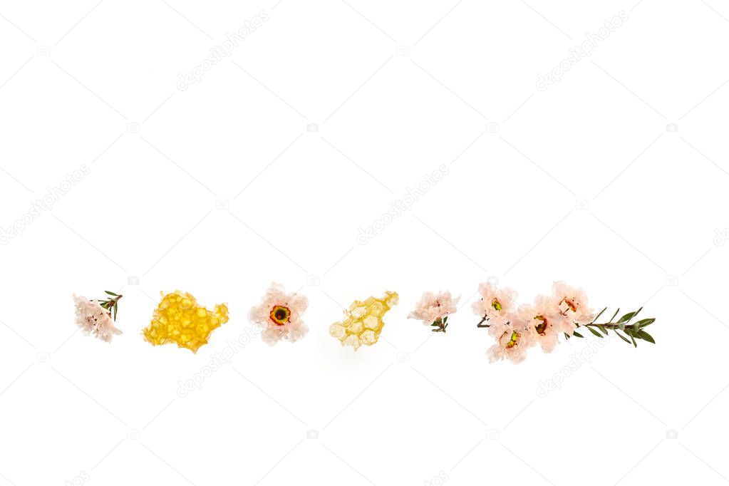 pure manuka honey with white manuka flowers and copy space above