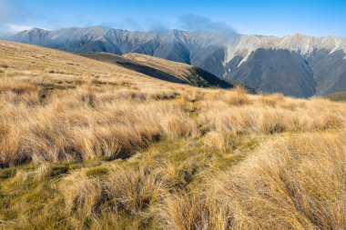 Nelson Lakes Ulusal Parkı 'ndaki Saint Arnaud Sıradağları, Güney Adası, Yeni Zelanda