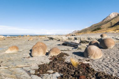 Marlborough, Güney Adası, Yeni Zelanda 'daki Ward Beach' te kumtaşı kayaları.