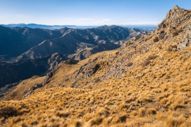 Güney Adası, Yeni Zelanda 'nın Marlborough bölgesindeki Awatere Vadisi üzerinde çimenli bir yamaç.