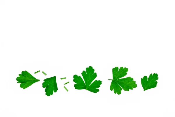Нарезанные Итальянские Листья Петрушки Изолированы Белом Фоне Копировальным Пространством Выше — стоковое фото