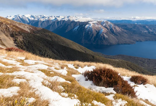 Zasněžené Pohoří Národním Parku Nelson Lakes Zimě Jižní Ostrov Nový — Stock fotografie