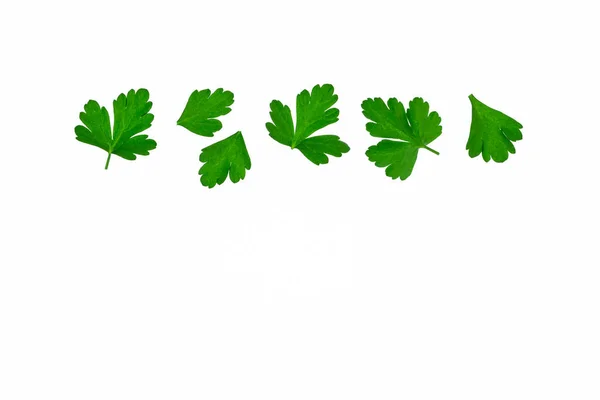 Closeup Chopped Fresh Italian Parsley Leaves White Background Copy Space — Stock Photo, Image