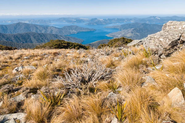 Pohled Marlborough Sounds Summitu Mount Stokes Jižní Ostrov Nový Zéland — Stock fotografie