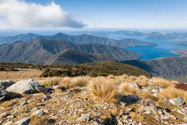 Pohled Pohoří Marlborough Sounds Vrcholu Mount Stokes Jižní Ostrov Nový — Stock fotografie