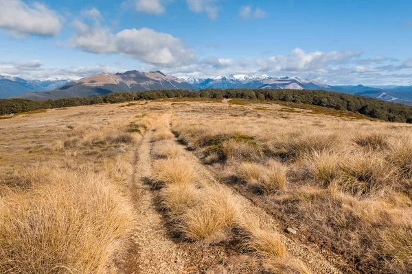 Beeby Knob Turistické Stezky Nelson Lakes National Park South Island — Stock fotografie