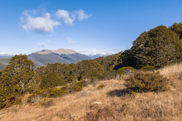 Cordillera Saint Arnaud Parque Nacional Nelson Lakes Nueva Zelanda Con — Foto de Stock