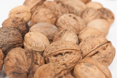 ceviz çekirdeği ve ceviz.