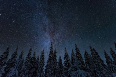 Finlandiya'da yıldızlı gökyüzü ile kış gece manzarası