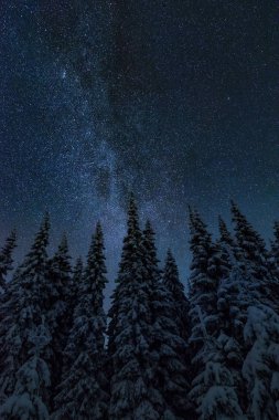 Finlandiya'da yıldızlı gökyüzü ile kış gece manzarası