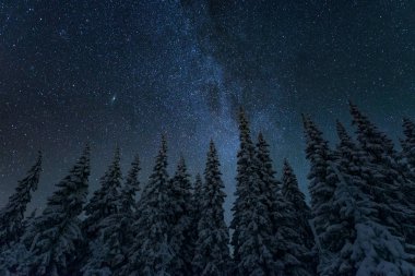 Finlandiya'da yıldızlı gökyüzü ile kış gece manzarası