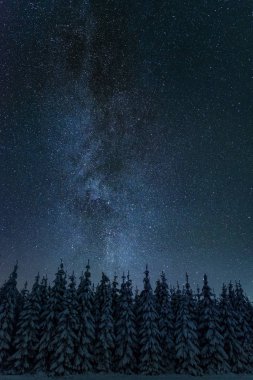 Finlandiya'da yıldızlı gökyüzü ile kış gece manzarası