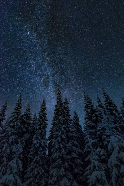 Finlandiya Yıldızlı Gökyüzü Ile Kış Gece Manzarası — Stok fotoğraf