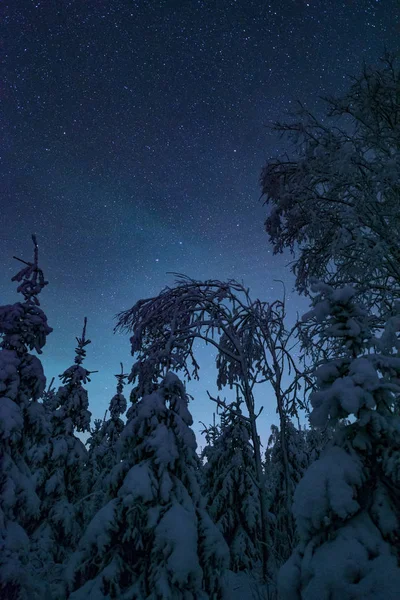 芬兰的冬夜景观 — 图库照片