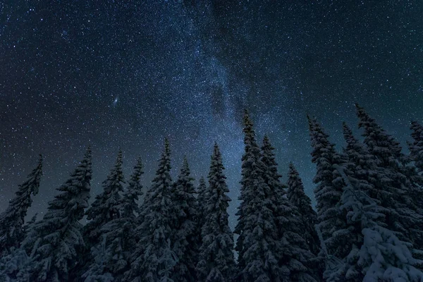 Téli Éjszaka Táj Csillagos Finnország — Stock Fotó
