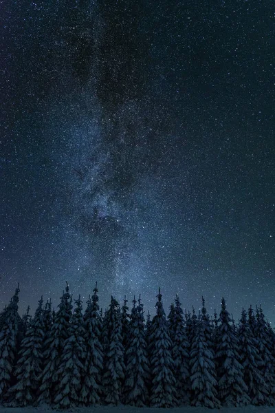 Paisaje Nocturno Invierno Con Cielo Estrellado Finlandia — Foto de Stock