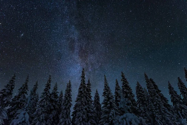 Paisaje Nocturno Invierno Con Cielo Estrellado Finlandia Imagen De Stock