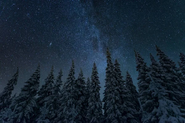 Paisaje Nocturno Invierno Con Cielo Estrellado Finlandia Imagen De Stock