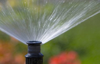 Bir tam otomatik sulama sistemi, su azaleas zeki Bahçe.