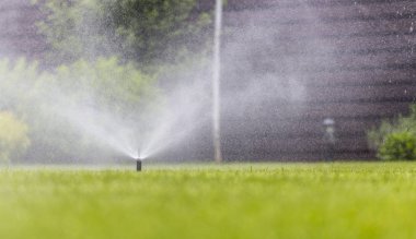 Otomatik fıskiye sistemi yeşil çimlerin arka planında çimleri suluyor