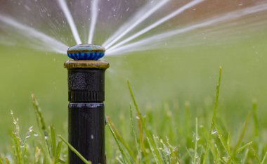 Otomatik fıskiye sistemi yeşil çimlerin arka planında çimleri suluyor