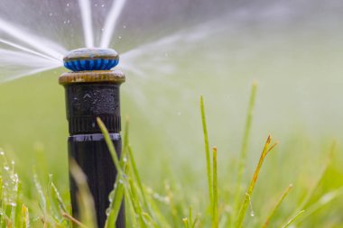 Otomatik fıskiye sistemi yeşil çimlerin arka planında çimleri suluyor