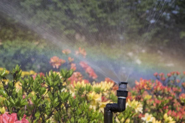 Cleverer Garten mit vollautomatischem Bewässerungssystem, Wasserazaleen. — Stockfoto