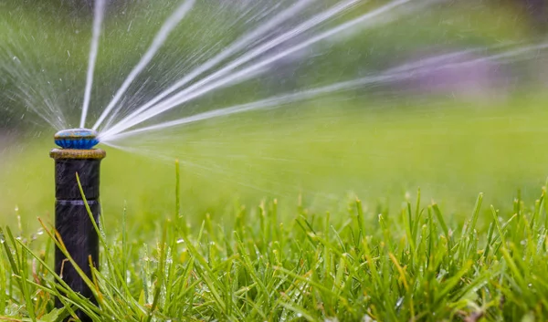 緑の草を背景に芝生に散水する自動散水システム — ストック写真