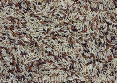 doku pirinç taneleri, siyah, beyaz ve kırmızı. Organik gıda.