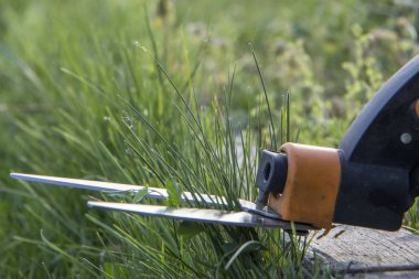 Çim yerlere ulaşmak zor, bahçıvan profesyonel makasla kesme