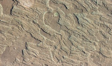 Taş arka plan doku arka plan doğal taş