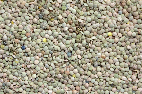 緑レンズ豆のクローズ アップ。緑レンズ豆のテクスチャ — ストック写真