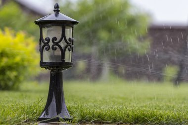Açık güneşli bir çim bahçe fener