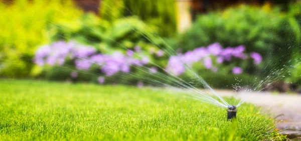 Automatic Sprinkler System Watering Lawn Background Green Grass Close — Stock Photo, Image