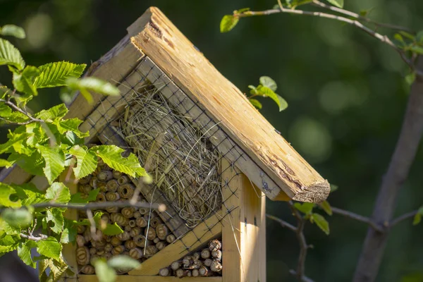 Casa speciale per insetti da giardino utili, costruita con materiali naturali. Crea le condizioni naturali per mantenere la popolazione dei nemici naturali dei parassiti del giardino . — Foto Stock