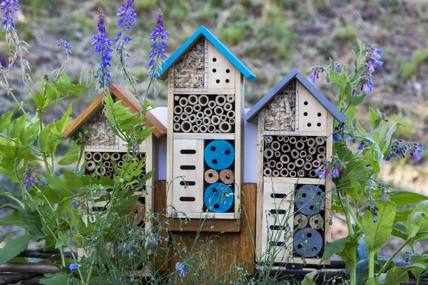 Специальный дом для полезных садовых насекомых, построенный из натуральных материалов. Создает естественные условия для содержания населения естественных врагов садовых вредителей . — стоковое фото