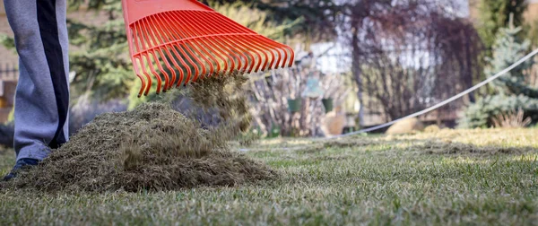 Tuinman die bodembeluchtingsmachine op grasgazon bedient — Stockfoto