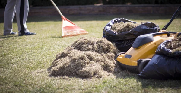 Tuinman die bodembeluchtingsmachine op grasgazon bedient — Stockfoto