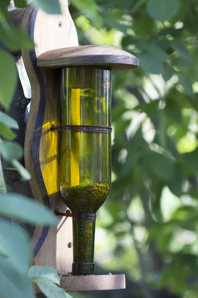 Alimentatore per uccelli, ricavato da una fiaschetta di vetro vuota. Uso di rifiuti domestici a scopi decorativi e pratici nel giardinaggio — Foto Stock