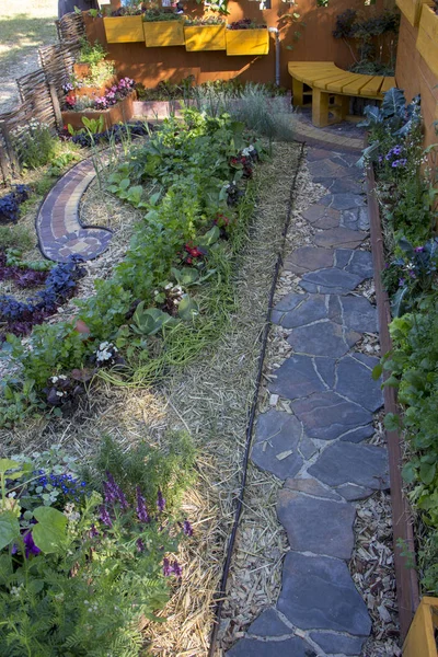 Bed A modern designer garden. Using natural materials. And the selection of plants for compatibility — Stock Photo, Image