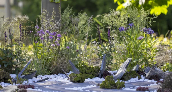 Flor con piedras y flores Uso de escombros de construcción en el diseño del paisaje — Foto de Stock