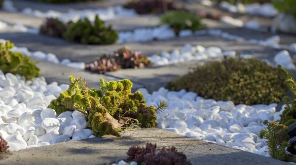 Jardín japonés de piedras, uso de escombros de construcción en el diseño del paisaje — Foto de Stock