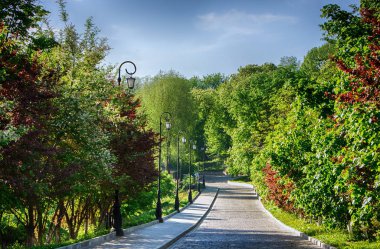 Yeşil Yaz Parkı'nda sabah sokakta