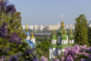 Bahar zamanı ve Dnipro Nehri'nin güzel görünüme Kiev Botanik Bahçesi içinde parlak renkler.