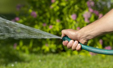 Man watering garden with hose, close-up clipart