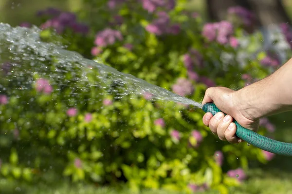 ホースで庭に水をまく人クローズ アップ — ストック写真