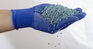 Topuz hangi elinde mineral gübre mitt koymak.